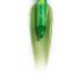 Lipper-Блиск Lipss LIME SPF20 9 мл Lipper-Блиск Lipss LIME SPF20 9 мл